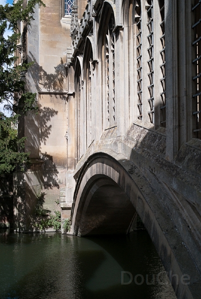 Ed -L1006777.jpg